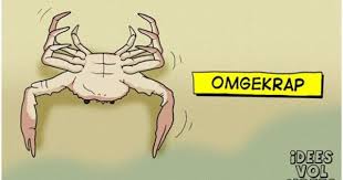 Omgekrap Funny Puns Afrikaans Funny Jokes