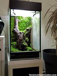 How To Get Moss For Terrarium And Paludarium Frog Terrarium Terrarium Reptile Terrarium