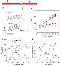 We did not find results for: Reverse Engineering Of The Giant Muscle Protein Titin Nature