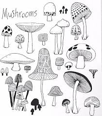 Drawing Doodle Day 1 Poisonous Mushroom Drawing Doodle Drawings Doodle Art