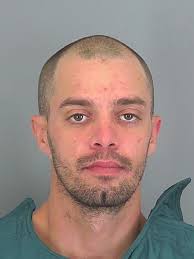 Spartanburg County Sheriff's Office SVU investigations lead to arrests