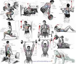 the best exercises to include in your muscle building