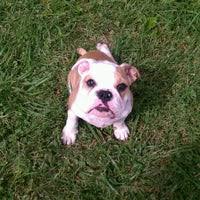 You've got to ensure that your trees grow. Afford A Care Pet Hospital Pet Service