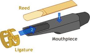 Saxophone Reeds | Saxophone Players Guide