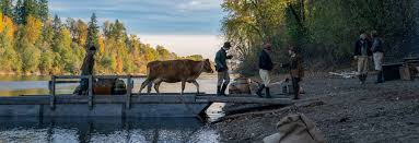 News we talk to american filmmaker kelly reichardt about first cow , now on vod. First Cow Review A Minimalist Portrait Of The American Dream Melbourne International Film Festival Review Switch