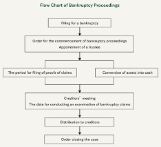 Rigorous Bankruptcy Flowchart 2019