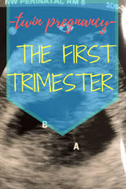 Pin On Twin Pregnancy And Birth