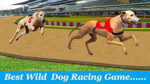 The best greyhound dog simulator available on android!if dogs are your favourite pets then this is the game for you.greyhound dog simulator . Dog Run Pet Greyhound Dog Simulator Race 3d 2021 For Android Apk Download