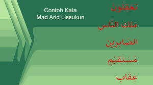 Dalam al quran 5 contoh mad badal beserta suratnya 5 contoh mad badal beserta surat dan ayat 5 contoh bacaan mad badal tuliskan 5 contoh mad badal sebutkan 5 contoh mad badal 8 contoh mad badal. Contoh Mad Arid Lissukun Dalam Surat Pendek Juz Amma Pontren Com