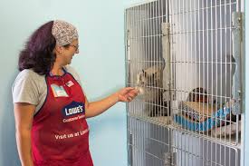 Check the transport companies and routes you can use to bring your pet cat, dog or ferret to england, scotland or wales. Sparcc Shelter S Pet Kennel Gets Some Help From Volunteers Sarasota Your Observer