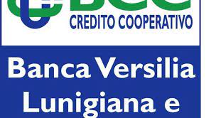 Banca della versilia e della lunigiana. La Banca Della Versilia Lunigiana E Garfagnana Consegna Un Defibrillatore A Vitoio La Voce Degli Enti Versiliatoday It