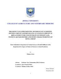 Image result for Bothriocline