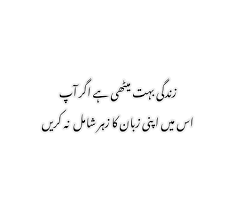 Urdu Quotes Urduquotes اردو Daily Inspiration Quotes Urdu Words Reality Quotes