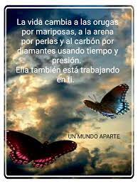 La Vida Cambia A Las Orugas Por Mariposas A La Arena Por Perlas Y Al Carbon Por Diamantes Usando Tiempo Frases De Amistad Lindos Pensamientos Frases Positivas