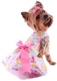Designer Dog Boutique Taliadogboutique Com Dog Clothes Easter Dog Dog Boutique