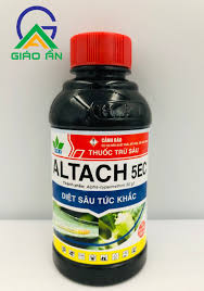 Altach 5EC