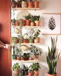 38 Fantastic Intelligent And Low Cost Indoor Garden Ideas 24 House Plants Decor Indoor Garden Apartment Apartment Garden