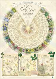 Bach Flower Poster Wall Chart For The 38 Essences A1