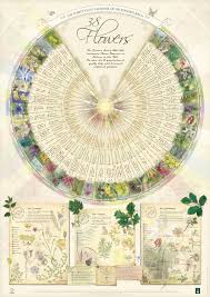 bach flower poster wall chart for the 38 essences a1