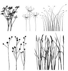 Black And White Plants Silhouettes Set Vector Image On Vectorstock Flower Doodles Doodle Drawings Drawings