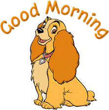 24 funny animated gif images to make you laugh all day long. Good Morning Gif Morning Funny Lovely Gifs Image Download For Whatsapp