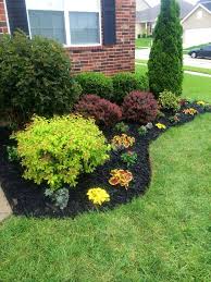 Beautiful Flowerbed Black Mulch Made A Big Difference Landscaping Ideas Home Landscaping Farmhouse Landscaping Front Yard Landscaping Design