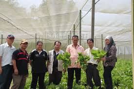 Annual transfers of technical assistant (extension national diploma in agricultural production technology course (nvq level 05) in department of agriculture for academic. Department Of Agriculture Sarawak Official Website