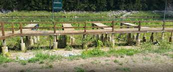 Anglers can cast a line into the drink in search of black bass, striped bass, smallmouth bass, bluegill, catfish, and crappie. Lakeview Rv Park 2 Photos Bluff City Tn Roverpass