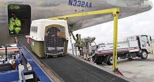 Check spelling or type a new query. Our Services Galaxy Global Fast Service Transport Logistics