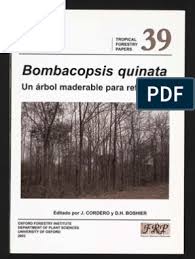 Cómo hacer una mesa de tronco de árbol. Bombacopsis Quinata Un Arbol Maderable Para Reforestar Arboles Naturaleza