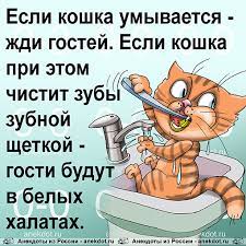 Кошкин дом на новый лад- Смешные басни- Стихи о разводе- Смешные стихи-  Владимир Сахарцев- ХОХМОДРОМ