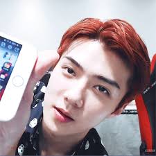 Gif Descubierto Por Ah Waeee Descubre Y Guarda Tus Propias Imagenes Y Videos En We Heart It Sehun Exo Exo Sehun