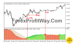 Force Volume Indicator Volume Force Positivity