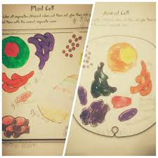 Example of animal cell model. Cell Model Writing Is Thinking