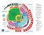 Row Seat Number Marlins Park Seating Chart