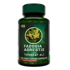 Image result for Fadogia gossweileri