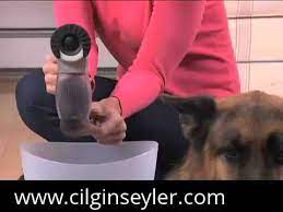 kedi kopek tuy makinesi shed pal www cilginseyler com youtube