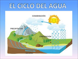 El agua describe un ciclo que permite su reutilización. Ciclo Del Agua