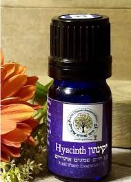 Maybe you would like to learn more about one of these? Hyacinth ×™×§×™× ×ª×•×Ÿ Enfleurage Rare Essential Oil 5ml Israel Blended With Jojoba Oil Aytz Chayim Aromatherapy