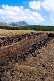 Image result for peat moss