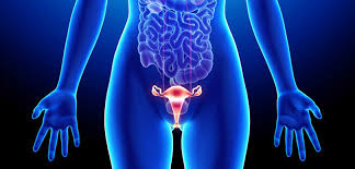Prolapso Genital Dr Carlos Sacomani Urologia Especializada Em Sao Paulo Sp