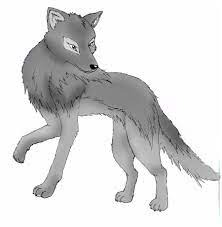 Alpha Female Cute Anime Wolves 40 Most Popular Female Cute Anime Wolf Pup Lee Dii most popular female cute anime wolf pup