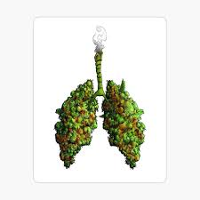 How are you celebrating the day? Happy 420 Poster By Dimension C137 Redbubble