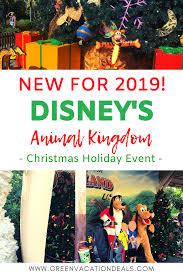 New 2019 Animal Kingdom Christmas Holiday Event Green Vacation Deals Disney World Vacation Packages Animal Kingdom Disney Animal Kingdom