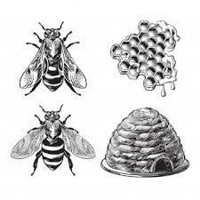 We did not find results for: Bee Images Free Vectors Stock Photos Psd