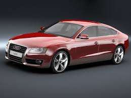 Image result for Garnet Red 2010 A5