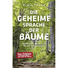 Dich sah ich wachsen: Was der Großvater noch über Bäume wusste : Thoma,  Erwin: Amazon.de: Bücher