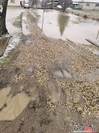 Vantul va adia cu o briza usoara, avand viteza de 9 km/h din directia ne, iar presiunea atmosferica va fi de 757 mm hg. Video InundaÈ›ii La Satu Mare StrÄƒzi Si GospodÄƒrii Inundate