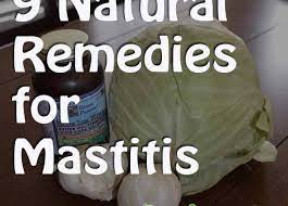 How to cure mastitis at home. Natural Remedies To Get Rid Of Mastitis Wellness Mama