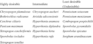 Image result for Hyparrhenia anamesa